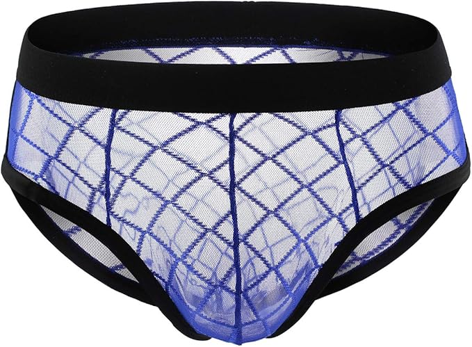 男式透视网格低腰比基尼内裤